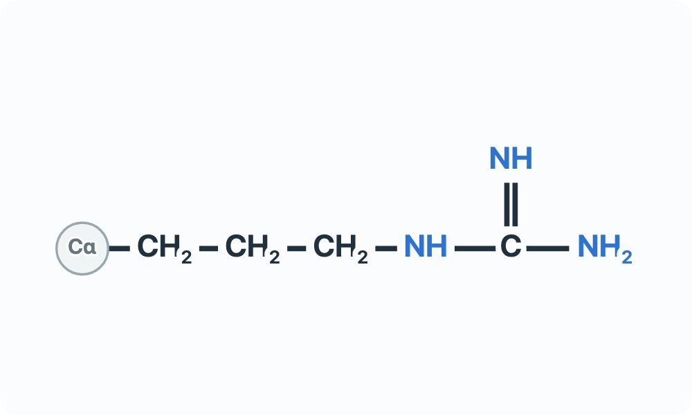 Side-chain diagram showing (CH₂)₃–NH–C(=NH)–NH₂ from the Cα attachment marker.