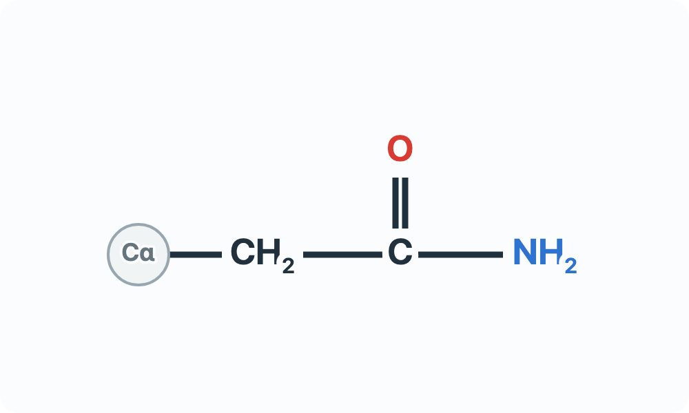 Side-chain diagram showing CH₂–C(=O)–NH₂ from the Cα attachment marker.