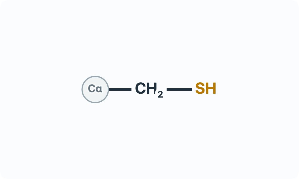 Side-chain diagram showing CH₂–SH from the Cα attachment marker.