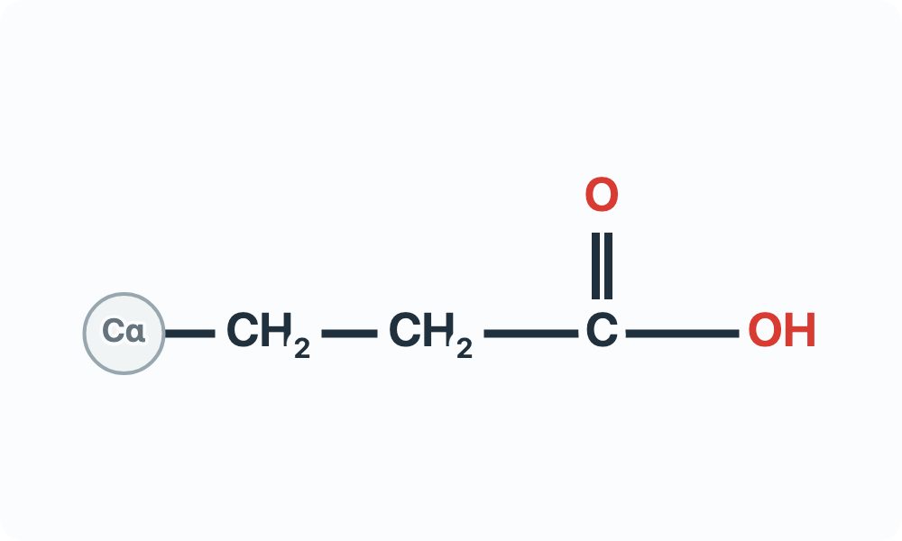 Side-chain diagram showing CH₂–CH₂–C(=O)–OH from the Cα attachment marker.