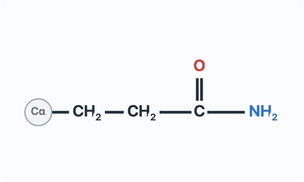 Side-chain diagram showing CH₂–CH₂–C(=O)–NH₂ from the Cα attachment marker.