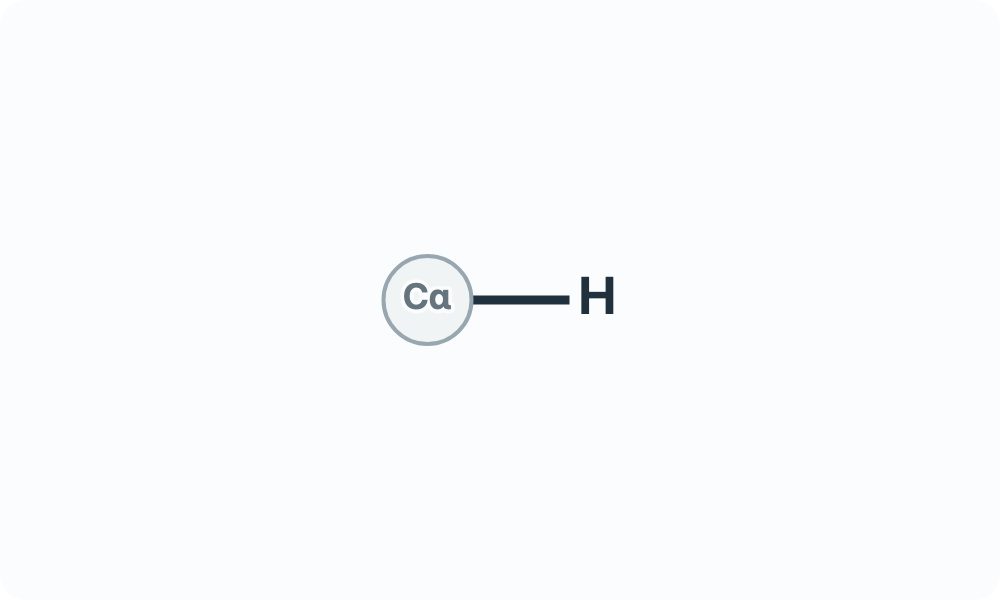 Side-chain diagram showing a hydrogen bonded to the Cα attachment marker.