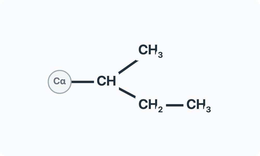 Side-chain diagram showing CH with one CH₃ branch and one CH₂–CH₃ branch from the Cα attachment marker.