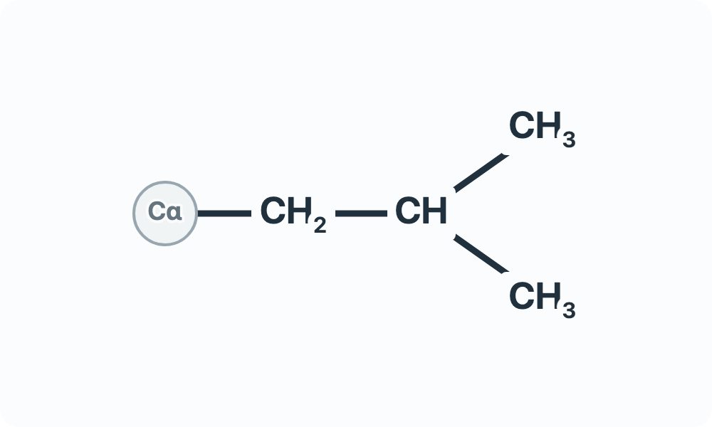 Side-chain diagram showing CH₂–CH with two terminal CH₃ branches from the Cα attachment marker.
