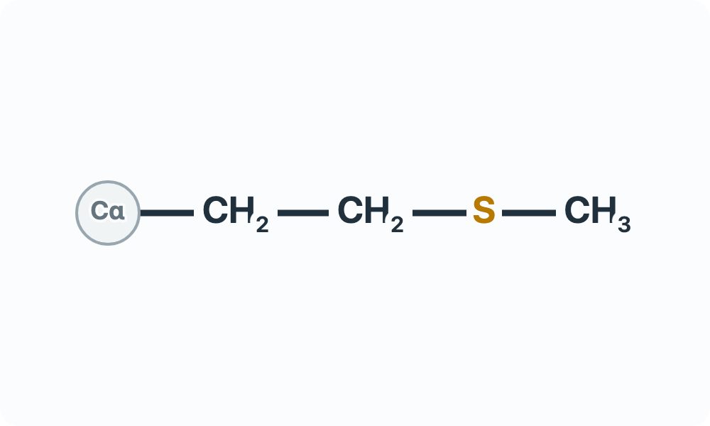 Side-chain diagram showing CH₂–CH₂–S–CH₃ from the Cα attachment marker.