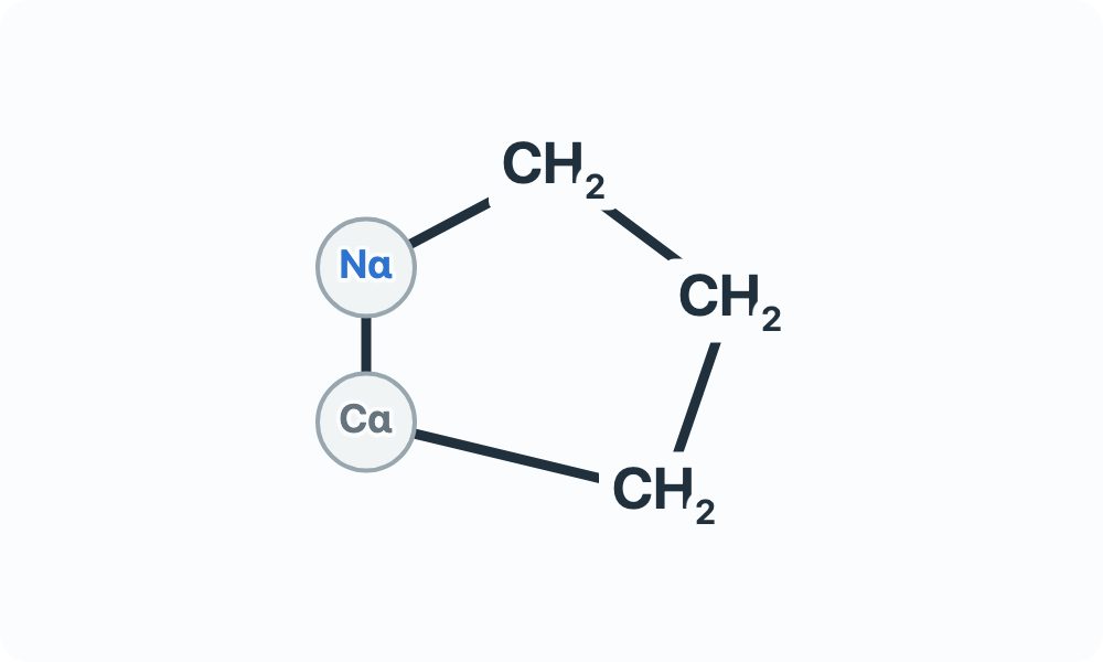 Side-chain diagram showing three CH₂ groups linking the Cα and Nα attachment markers.