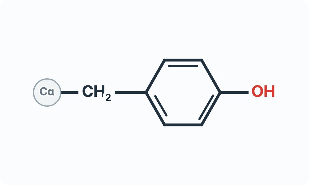 Side-chain diagram showing CH₂ joined to a six-membered ring with an opposite OH group from the Cα attachment marker.