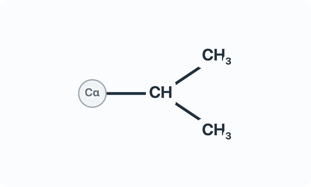 Side-chain diagram showing CH bonded to two CH₃ branches from the Cα attachment marker.